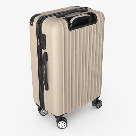 3D Trolley Suitcase